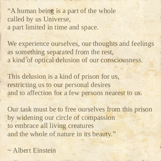 Einstein recommended Compassion